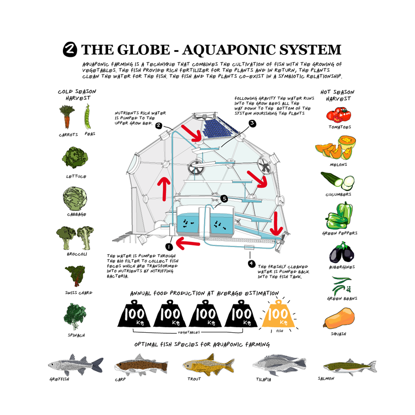 Hydroponics Fish Farm : Hydroponic Method Plans – Aquaponic ...