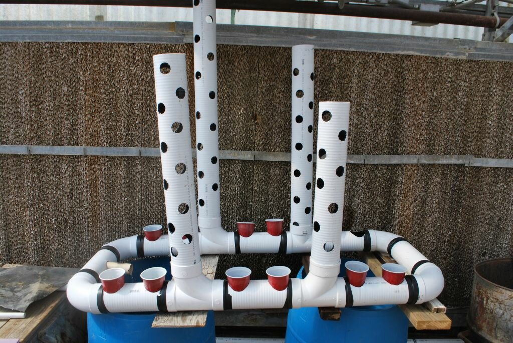  Systems : Five Items To Think About When Building An Aquaponics System