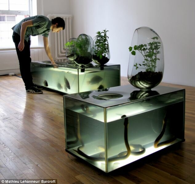 Hydroponics Systems With Fish : An Post About Backyard Aquaponic ...