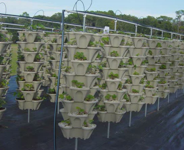 Aquaponic Vertical Garden : A Scam-proof Guide To Aquaponics Systems