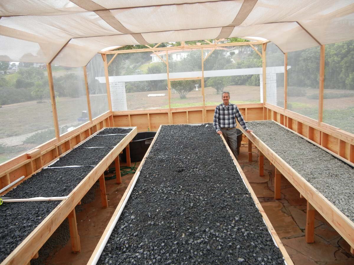 News and Video on Build Aquaponic System : My Diy Aquaponics System