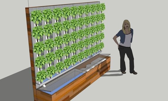 vertical hydroponic growing systems design MEMEs