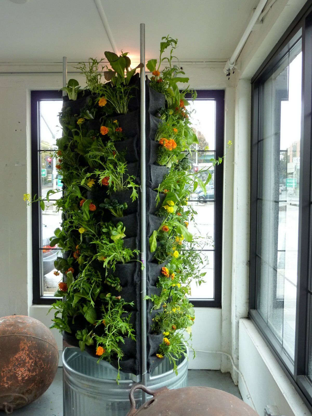 News and Video on Vertical Garden Aquaponics : Factors Why Plants Grow ...