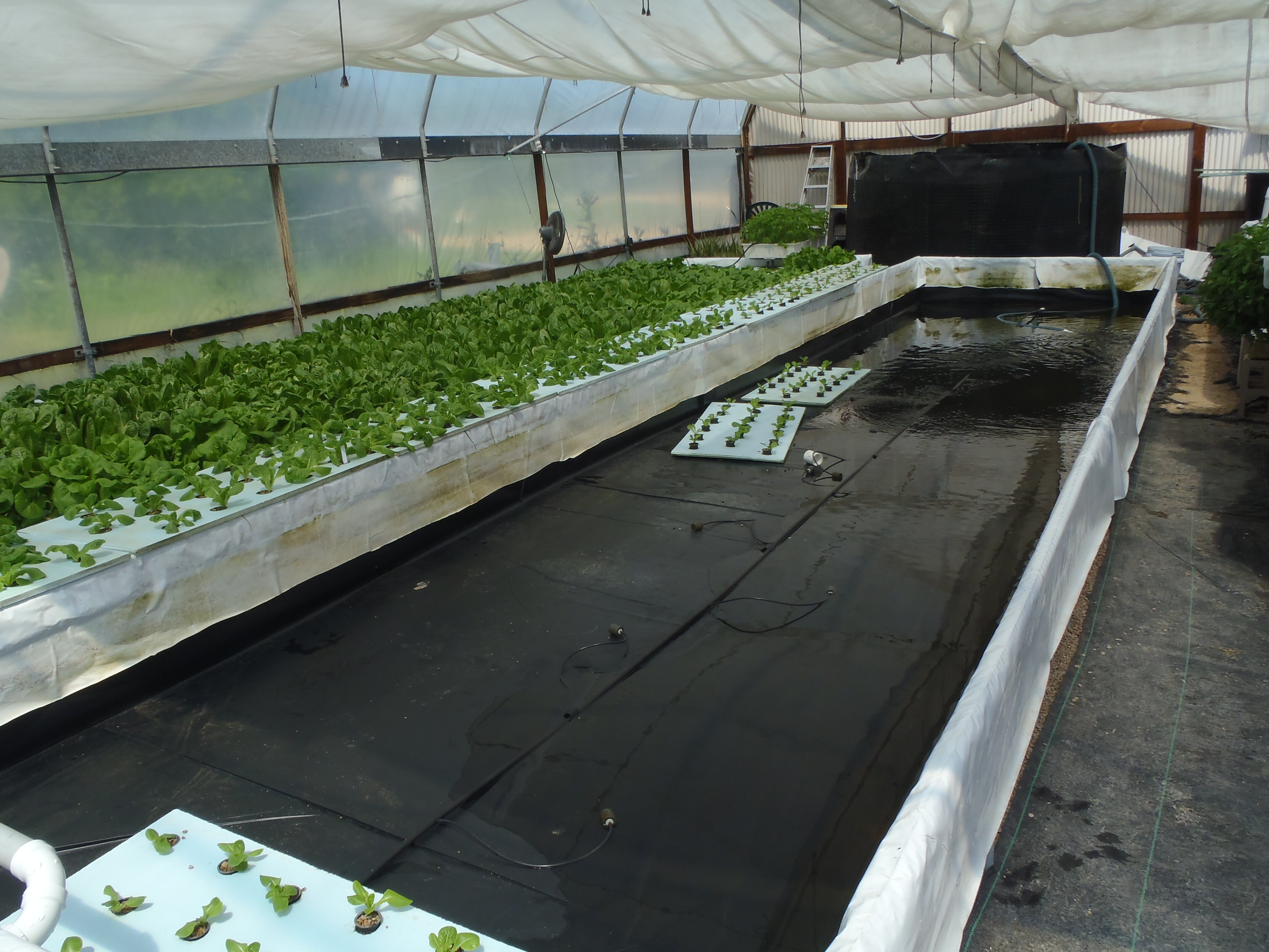 Aquaponic Grants 2013 | Search Results | Aquaponic Lover
