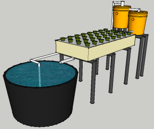 Aquaponic Raft System