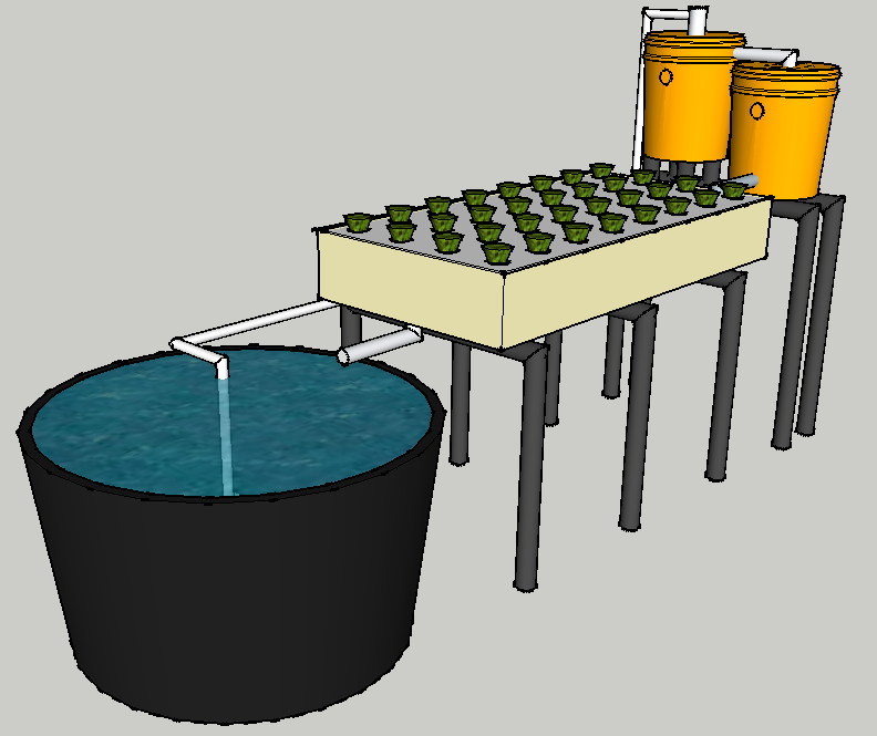 News and Video on Aquaponic Raft System
