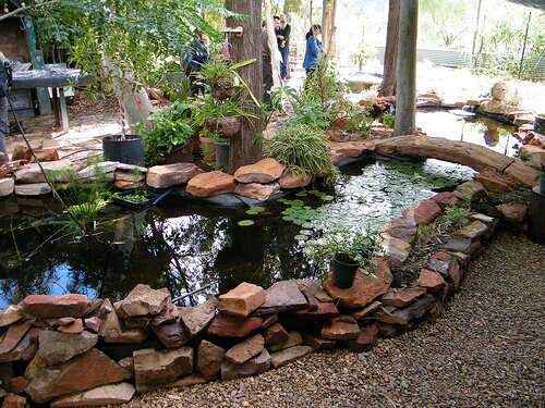 Bathtub aquaponics for Koi pond greenhouse