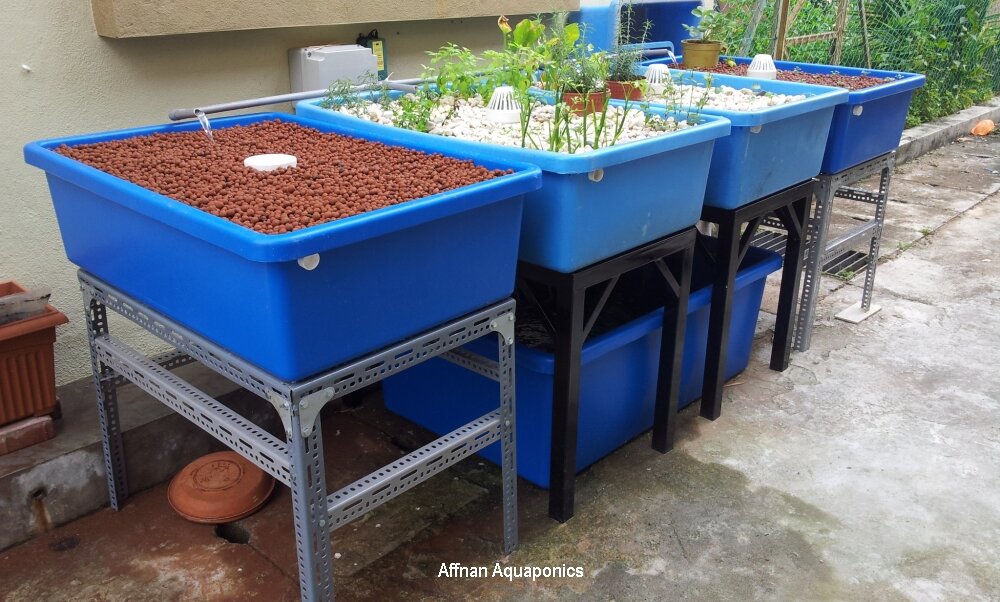News and Video on Build A Basic Aquaponics System