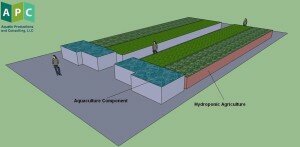 Aquaponics Commercial System Plans