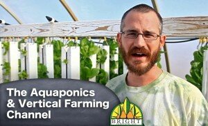 Aquaponics Vertical Farming